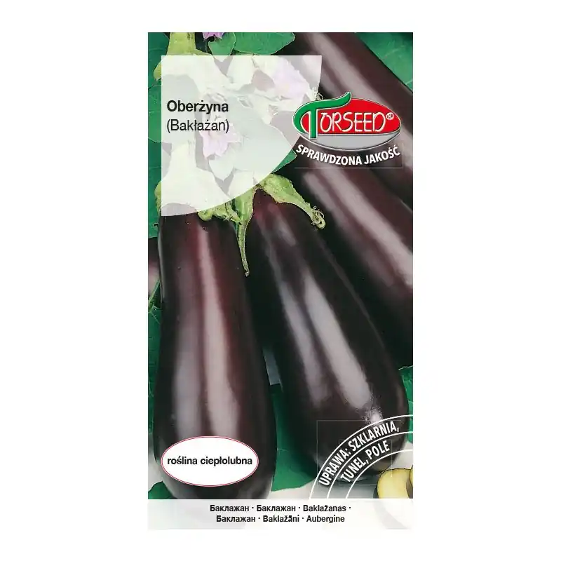 Oberżyna Black Beauty 0,5g