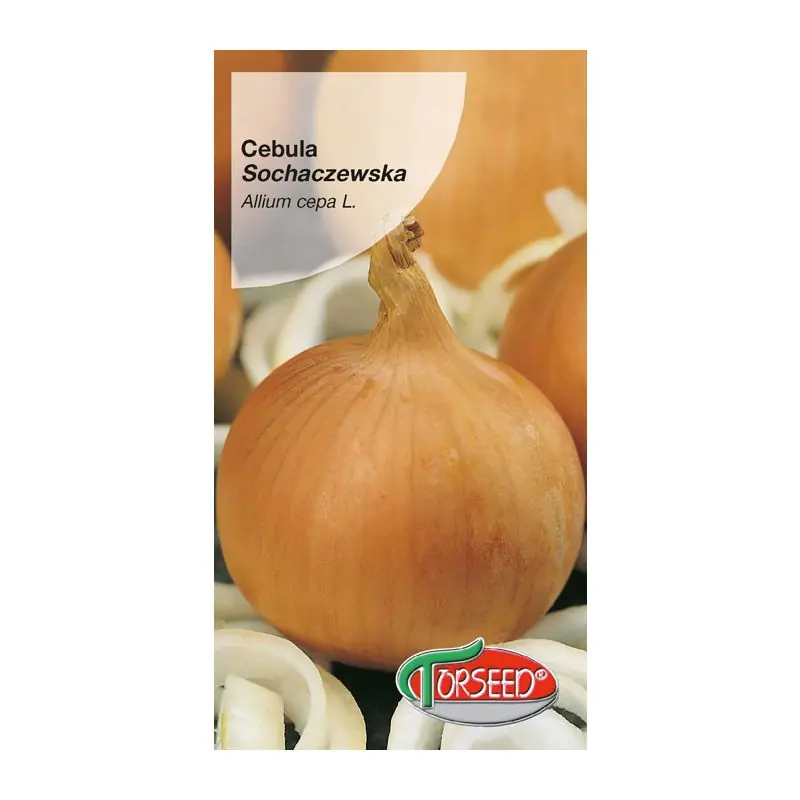 Cebula Sochaczewska 5g